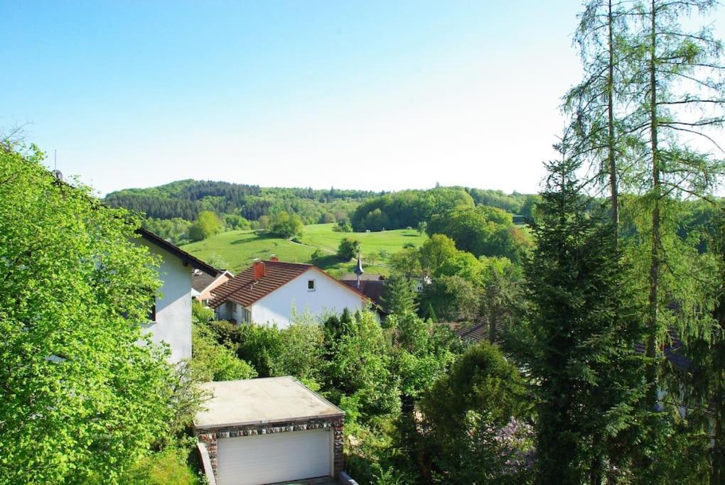 Ferienwohnung Ruhe Geniessen Und Wohlfuehlen Auf 70M² Laudenbach  Exterior foto